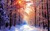 Bild der Natur in der eisigen Winterzeit nähert neue Jahr.