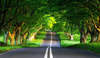 The road in the forest wallpaper.